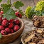 Hawthorn & Rhodiola: A Powerful Herbal Duo for Heart Health and Stress Relief